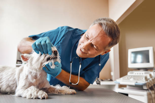 Best Weekend Emergency Dentist in Bartonville, TX